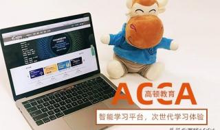 acca培训机构排名